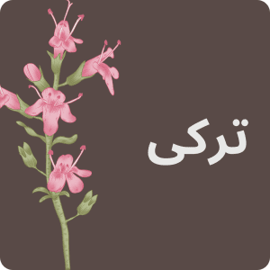 ترکی